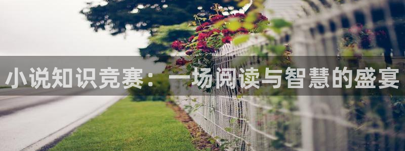 80s小说网txt下载