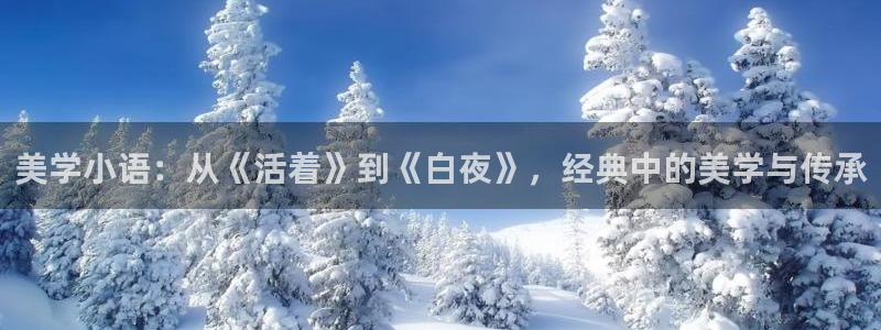 80小说网官网